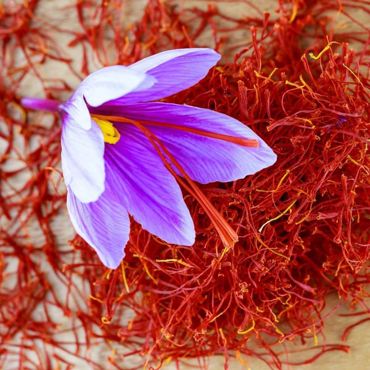 Saffron